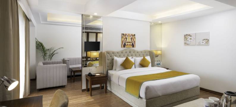 Cygnett Inn Paras图片