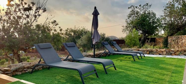 卡利格之夜(Noches de Calig)图片