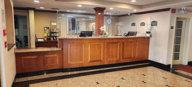 秀拉酒店(Hotel Xola)图片