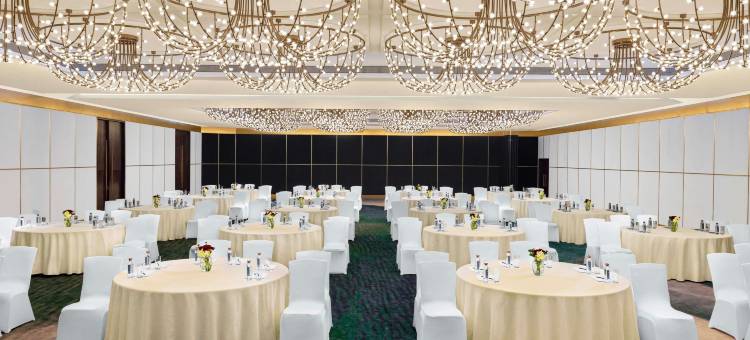 果阿潘吉姆诺富特酒店(Novotel Goa Panjim)图片