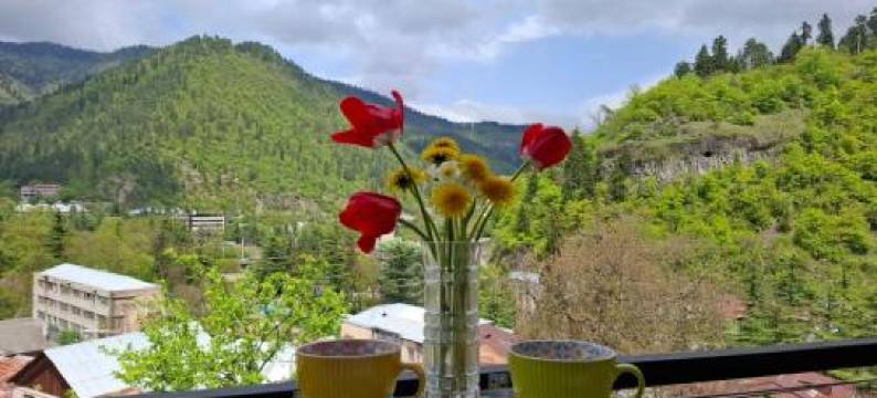 Borjomi Nest 1图片