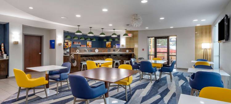 纳基托什舒适套房酒店(Comfort Suites Natchitoches)图片