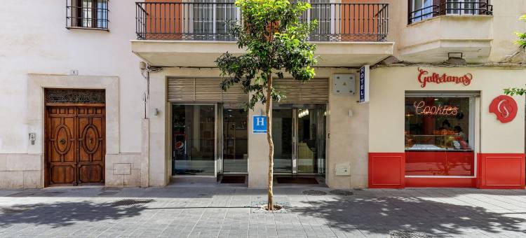 特雷博尔酒店(H-A Hotel Trebol)图片