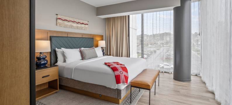 拉德福海兰德酒店(The Highlander at Radford, Tapestry Collection by Hilton)图片