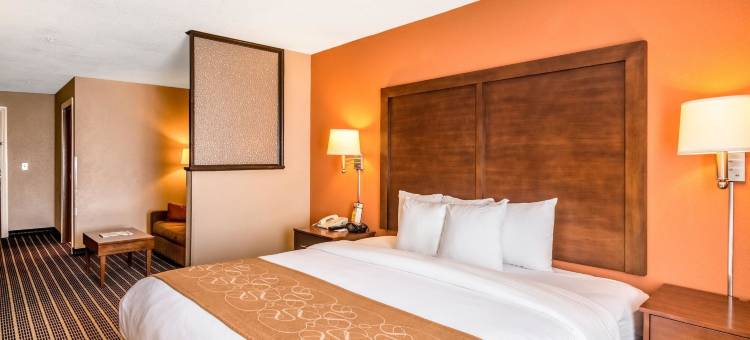 巴拿马城海滩舒适套房酒店(Comfort Suites)图片
