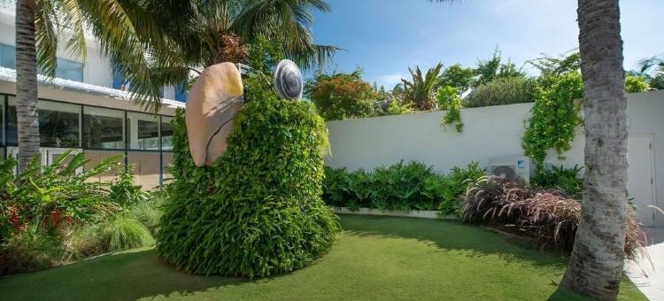 格罗夫岛的开曼豪华租赁(Cayman Luxury Rentals at the Grove)图片