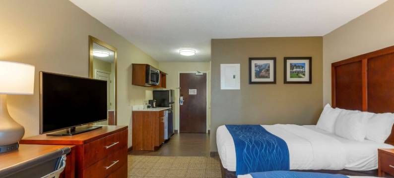 丹佛斯- 波士顿北岸舒适酒店(Comfort Inn Danvers - Boston North Shore)图片