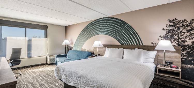 凯隆波因特酒店 - 近大学(Clarion Pointe Near University)图片