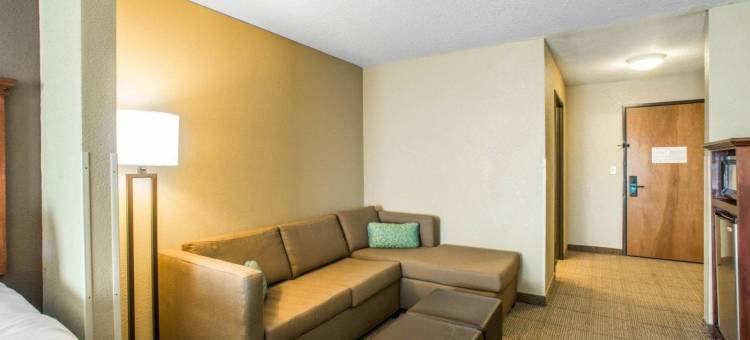 舒适套房酒店-哥伦比亚大学城(Comfort Suites Columbia - University Area)图片