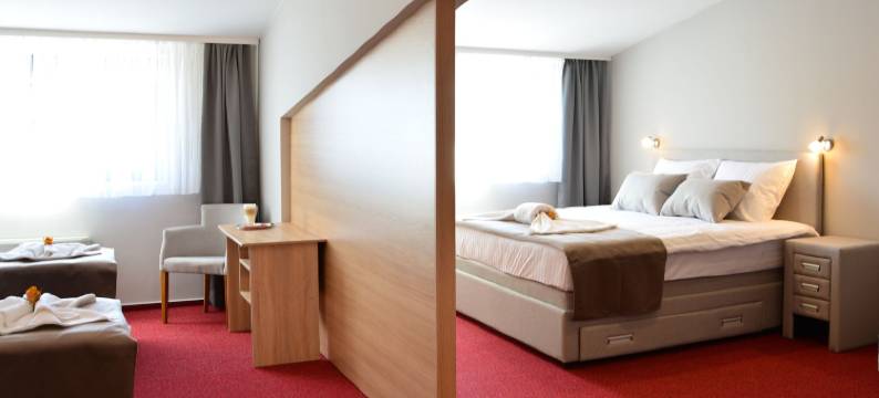 多伦吉克酒店(Hotel Dolenjc)图片