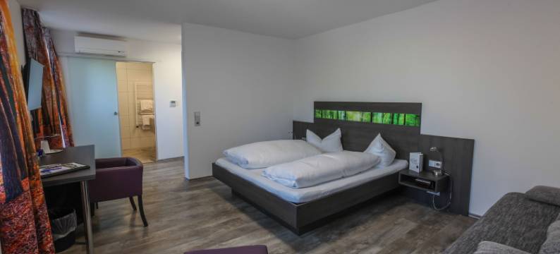 楚普法尔茨酒店(Hotel zur Pfalz)图片