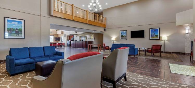 舒适套房酒店-德拉文日内瓦湖区(Comfort Suites Delavan - Lake Geneva Area)图片