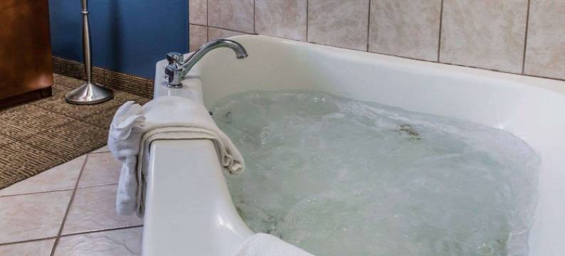 贝拉维农舒适酒店(Comfort Inn)图片