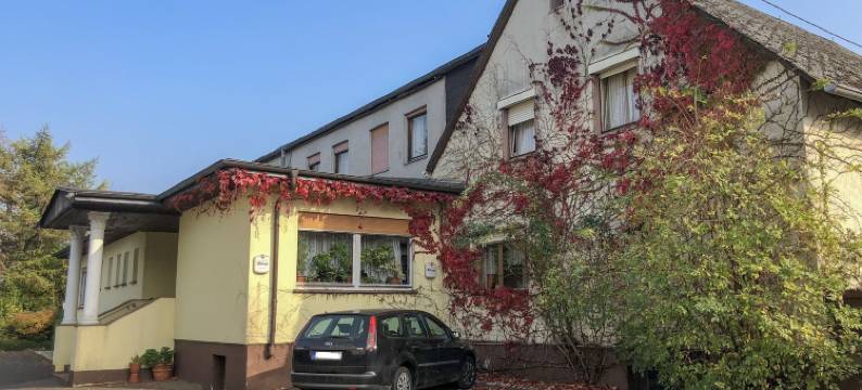 迪尼斯餐厅酒店(Hotel Restaurant Denis)图片