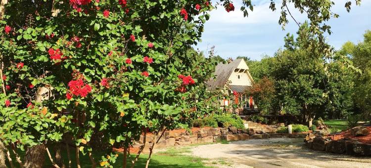 巴尔杜谷地旅馆(BarDew Valley Inn)图片