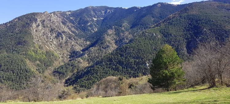 勒皮蒂特博纳尔露营地(Camping le P'Tit Bonheur)图片