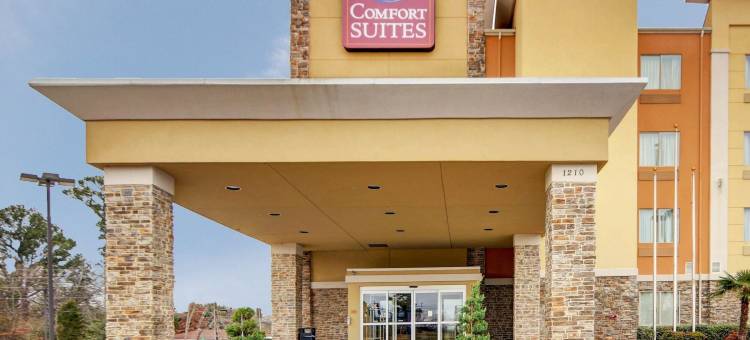 基尔戈舒适套房酒店(Comfort Suites Kilgore)图片