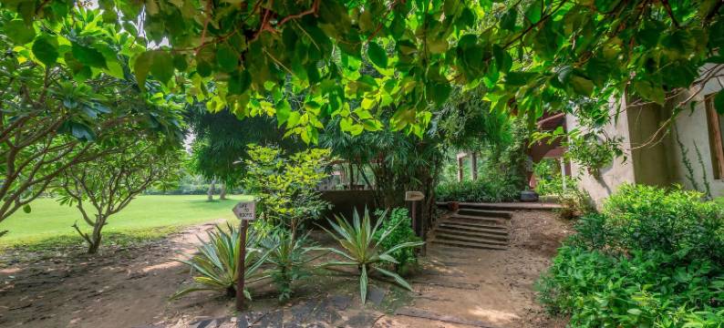 潘奇马华万V度假村(Mahua Vann Pench)图片