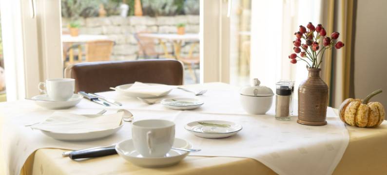 噶尼奔驰别墅酒店(Villa Benz Hotel Garni)图片