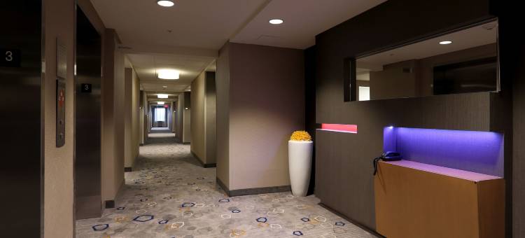 斯塔克维尔密歇根州立大学米尔会议中心万怡酒店(Courtyard Starkville MSU at the Mill Conference Center)图片