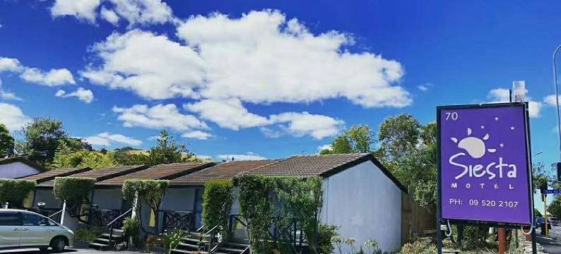 塞斯塔汽车旅馆(Siesta Motel)图片
