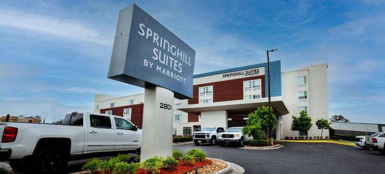 巴吞鲁日冈萨雷斯SpringHill Suites酒店(SpringHill Suites Baton Rouge Gonzales)图片