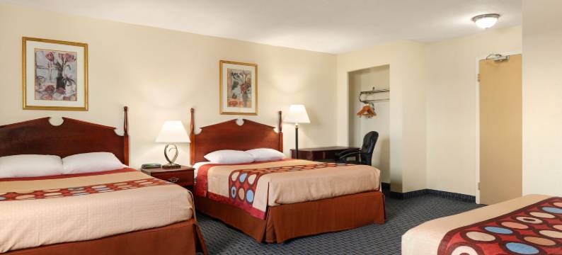 法布里奇威廉姆斯维尔布法罗机场快捷酒店(FairBridge Inn Express Buffalo Airport Williamsville)图片