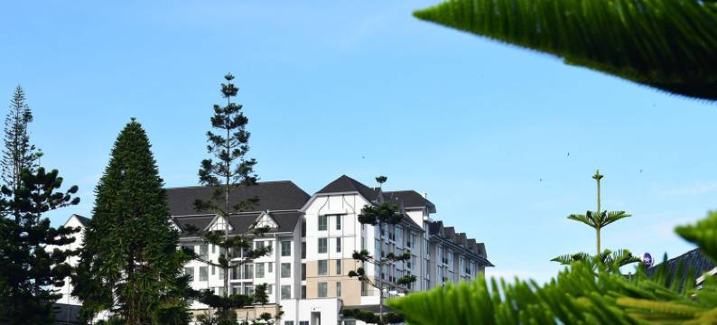 阿维伦金马仑高原酒店(Avillion Cameron Highlands)图片