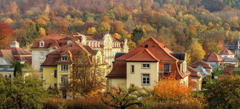 多林特度假村及水疗中心(Dorint Resort & Spa Bad Brückenau)图片