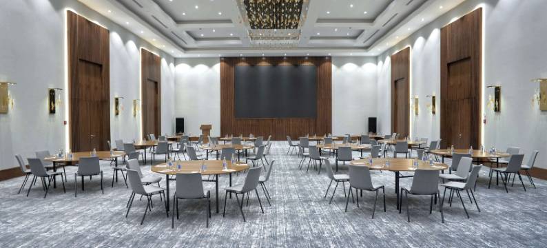 巴库丽笙酒店(Radisson Hotel Baku)图片