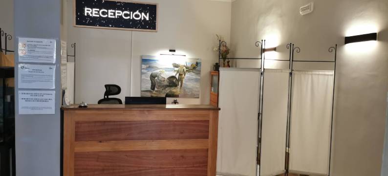 OYO安达卢萨海岸酒店(Hotel Costa Andaluza)图片