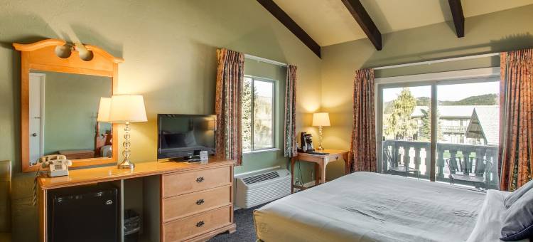 德尔利特霍夫旅馆(Der Ritterhof Inn)图片