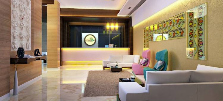 珍珠树酒店和度假村(Pearltree Hotels and Resorts)图片