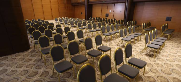 贝鲁特凡尔登丽笙酒店(Radisson Blu Hotel, Beirut Verdun)图片