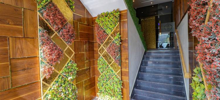 阿姆利则加州高地酒店(Hotel California Heights)图片