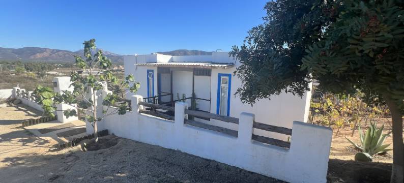 圣特拉，瓜达卢佩谷(Santerra, Guadalupe Valley)图片