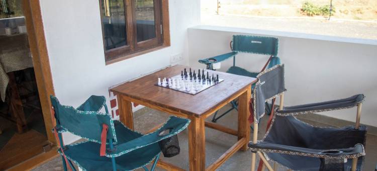 塔多巴虎爪(The Tiger Claws Tadoba)图片