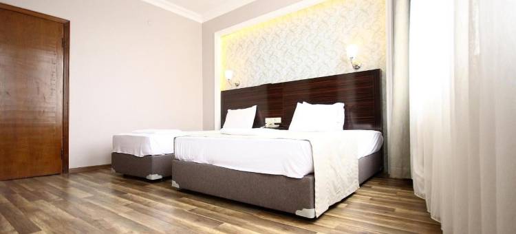 塔克西姆金星酒店(Venus Hotel Taksim)图片