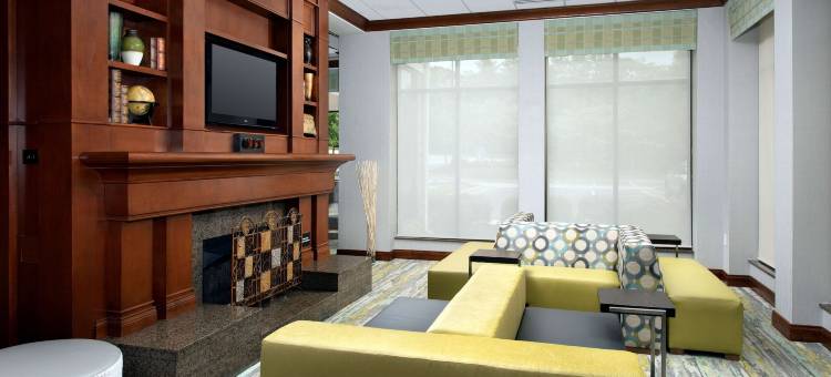 希尔顿花园酒店-亚特兰大西/ 利蒂亚斯普林斯(Hilton Garden Inn Atlanta West/Lithia Springs)图片