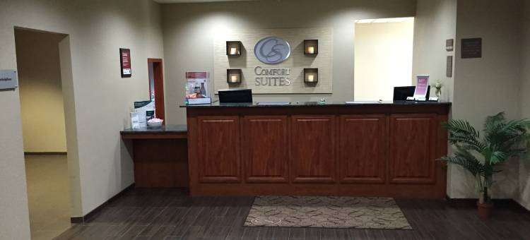 约翰逊河会议中心舒适套房酒店(Comfort Suites Johnson Creek Conference Center)图片