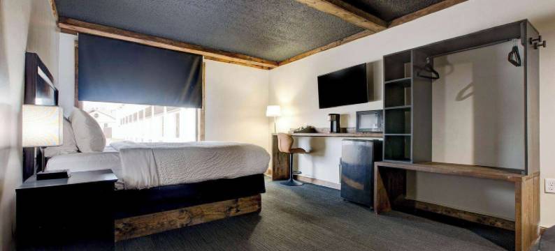 莱克斯, 璀蔓臻选温德姆酒店(Hotel Lex, Trademark Collection by Wyndham)图片