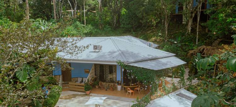 绿洲多元成人度假屋(Oasis Diverse Adult Retreat)图片