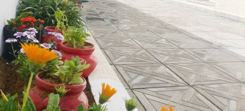 第二位置海滩达尔阿卢什凯利比亚Rfi Rdc(Second Position Beach Dar Allouche Kélibia Rfi Rdc)图片