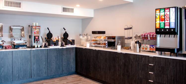 金斯顿中心舒适套房酒店(Comfort Suites Kingston Central)图片