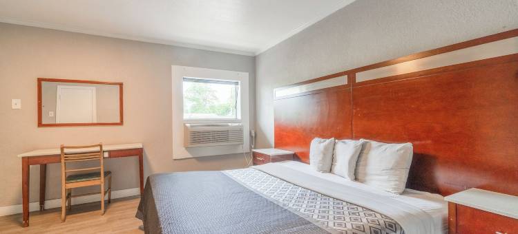 OYO 阿拉莫绿洲酒店及套房 圣安东尼奥(Alamo Oasis Inn And Suites By Oyo San Antonio)图片