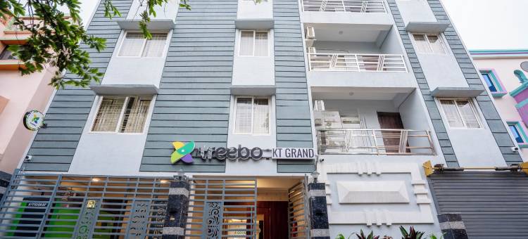 Treebo KT Grand图片