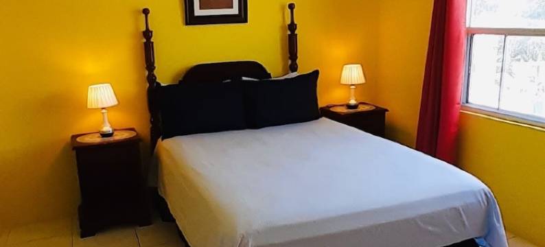 春季棕榈庄园(Spring Palm Estate)图片