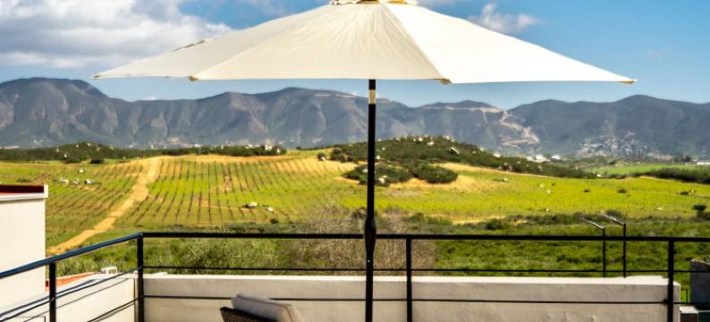 索菲亚别墅(Villa Sophia Valle de Guadalupe)图片
