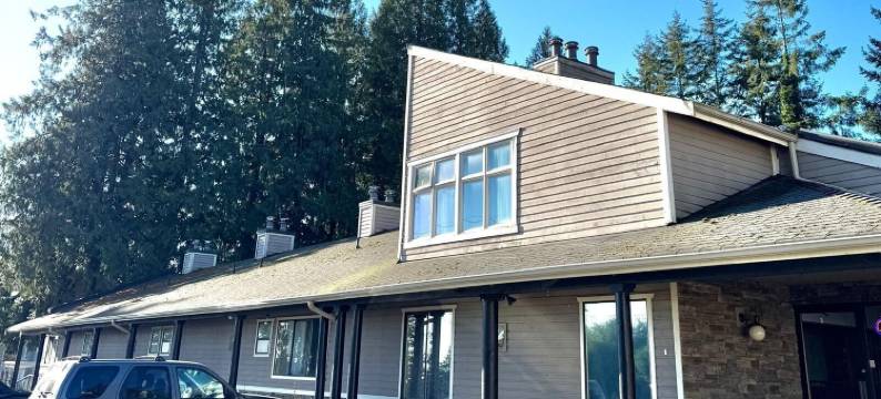 阳光旅馆(Sunshine Lodge Inn)图片