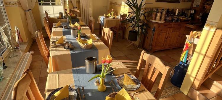达姆纳茨的Sonnenhof -旅馆-(Sonnenhof Damnatz -Hotel Garni-)图片